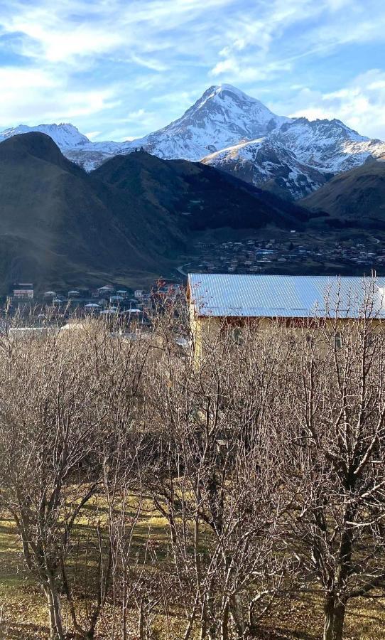 ホテル Golden Star Kazbegi エクステリア 写真